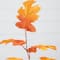 3ft. Pre-Lit Autumn Maple Artificial Fall Tree with 80 Warm White LED Lights